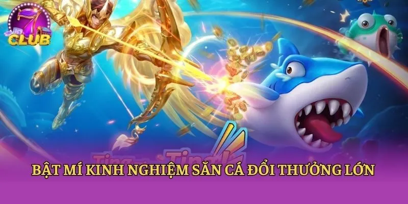 Bật mí kinh nghiệm săn cá đổi thưởng lớn