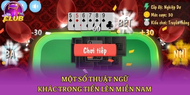 Một số thuật ngữ khác trong tiến lên miền Nam